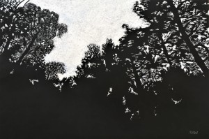 P_D_13962.jpg