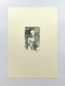 4216 aaa.jpg