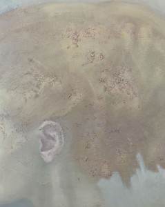 14232 aaaa.jpg