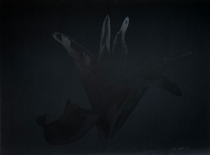 1302 aa.jpg