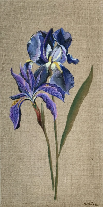Magdalena Nałęcz - Bez tytułu