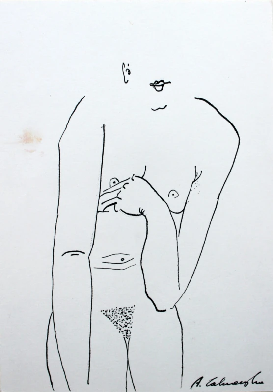 Agnieszka Zakrzewska - Bez tytułu