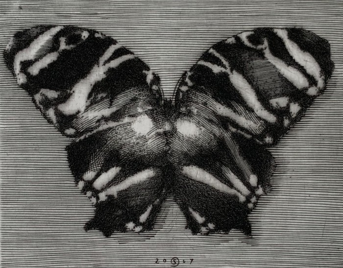 Krzysztof Skórczewski – Rajski motyl