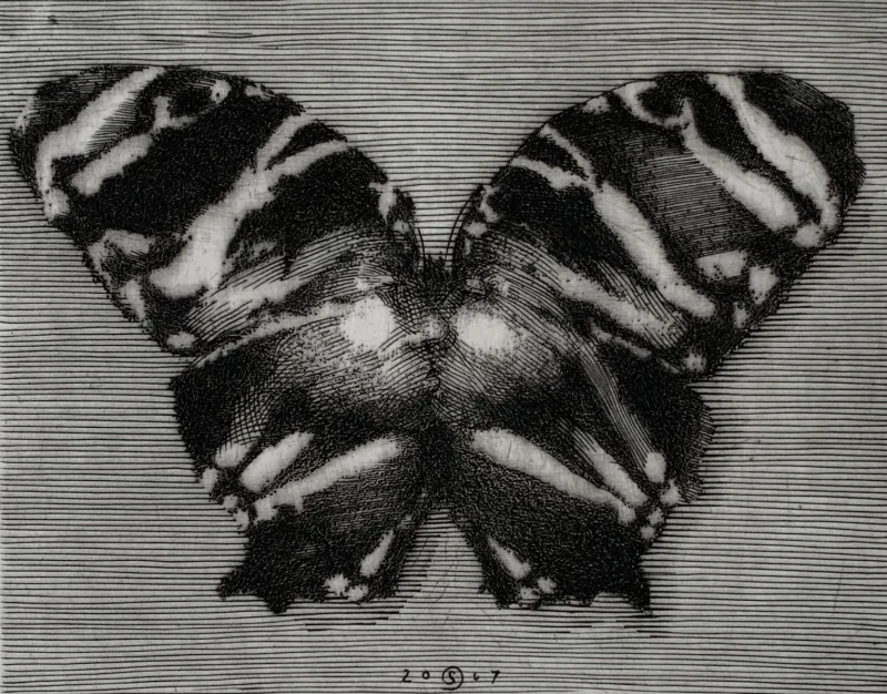 Krzysztof Skórczewski – Rajski motyl
