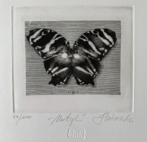 Krzysztof Skórczewski – Rajski motyl