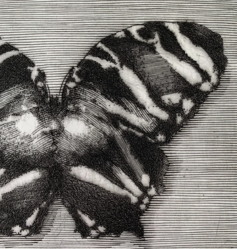 Krzysztof Skórczewski – Rajski motyl