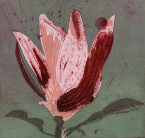 Marta Wakuła-Mac - Magnolia XI