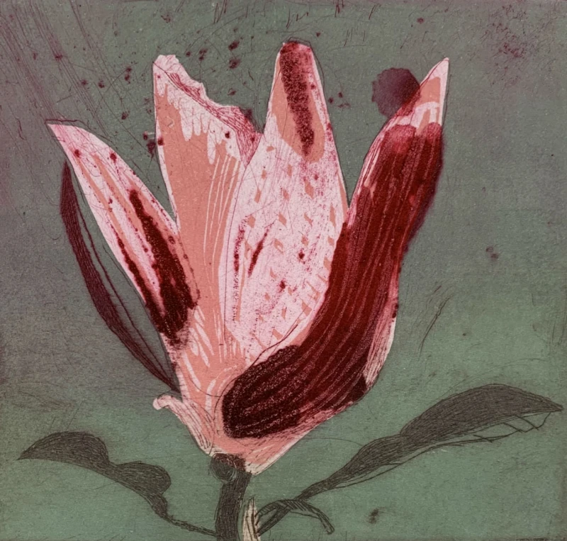 Marta Wakuła-Mac - Magnolia XI
