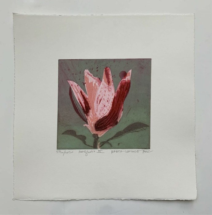 Marta Wakuła-Mac - Magnolia XI