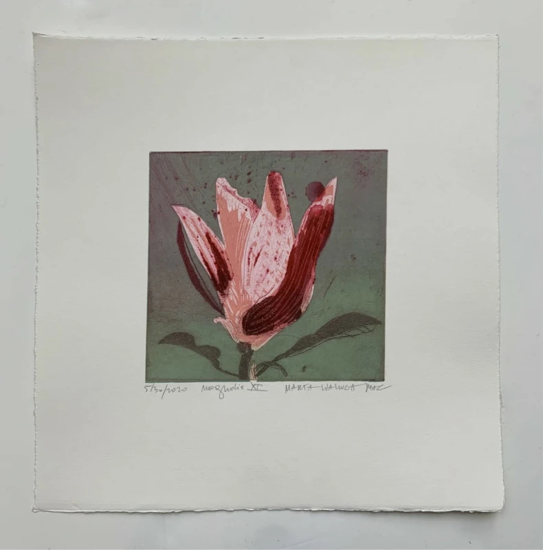 Marta Wakuła-Mac - Magnolia XI