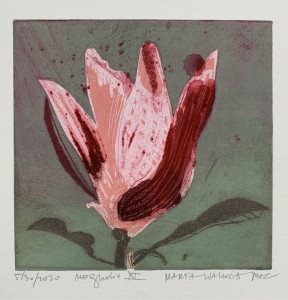 Marta Wakuła-Mac - Magnolia XI