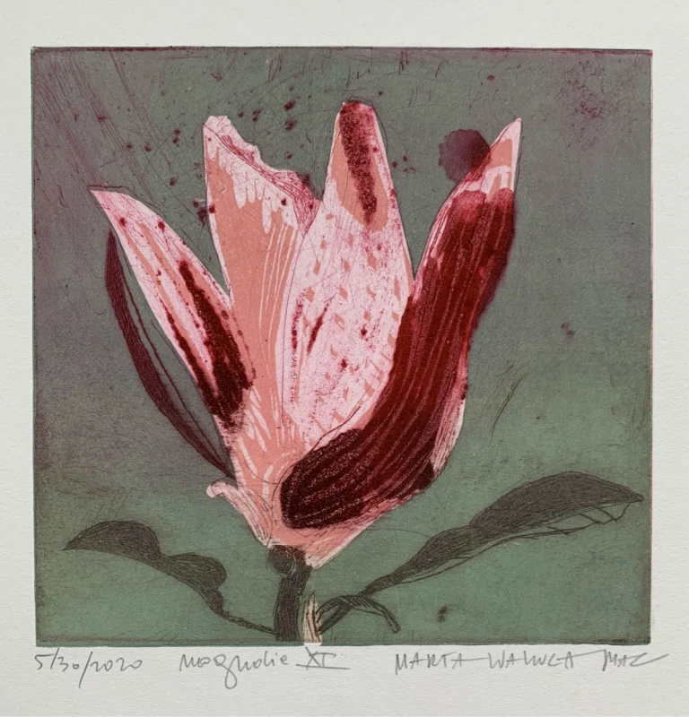 Marta Wakuła-Mac - Magnolia XI