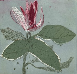 Marta Wakuła-Mac - Magnolia X