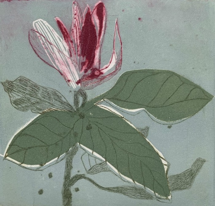 Marta Wakuła-Mac - Magnolia X