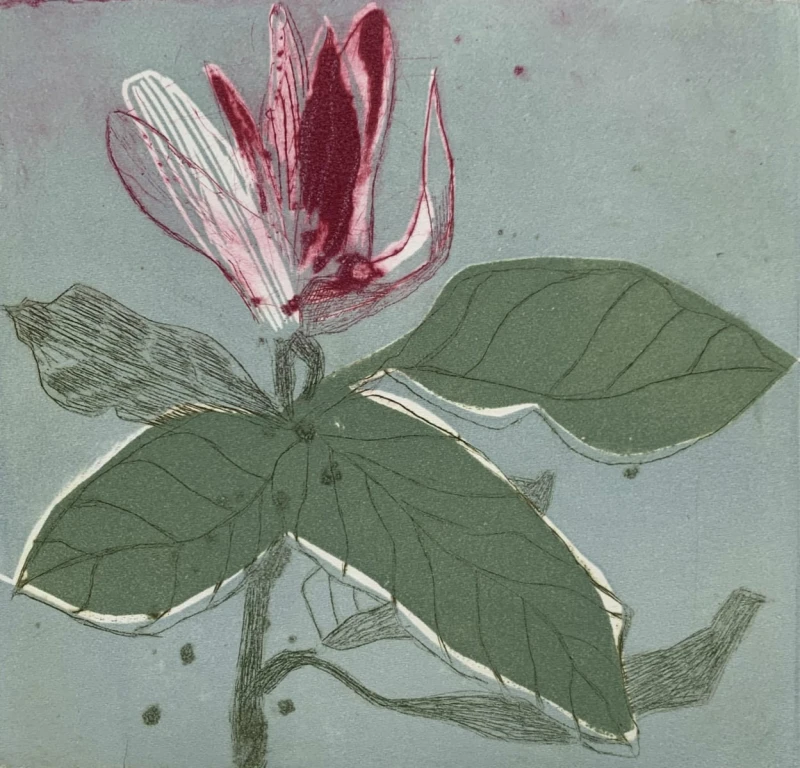 Marta Wakuła-Mac - Magnolia X