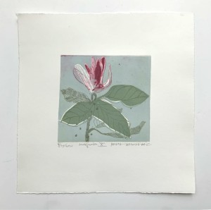 Marta Wakuła-Mac - Magnolia X