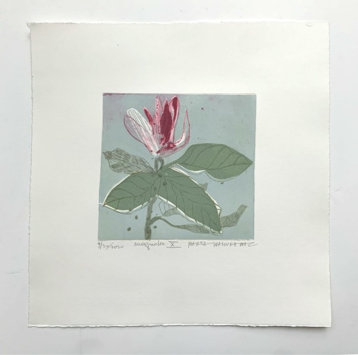 Marta Wakuła-Mac - Magnolia X