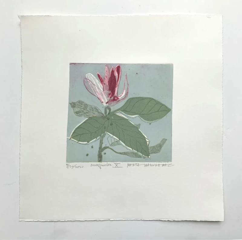 Marta Wakuła-Mac - Magnolia X