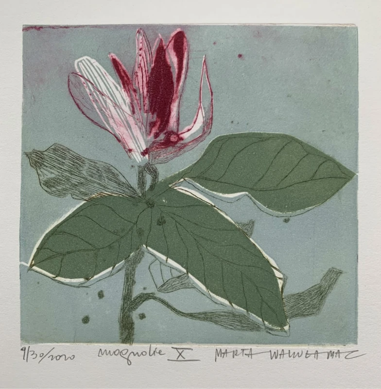 Marta Wakuła-Mac - Magnolia X