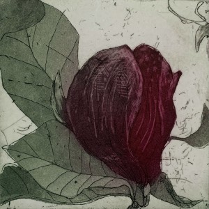 Marta Wakuła-Mac - Purple magnolia III