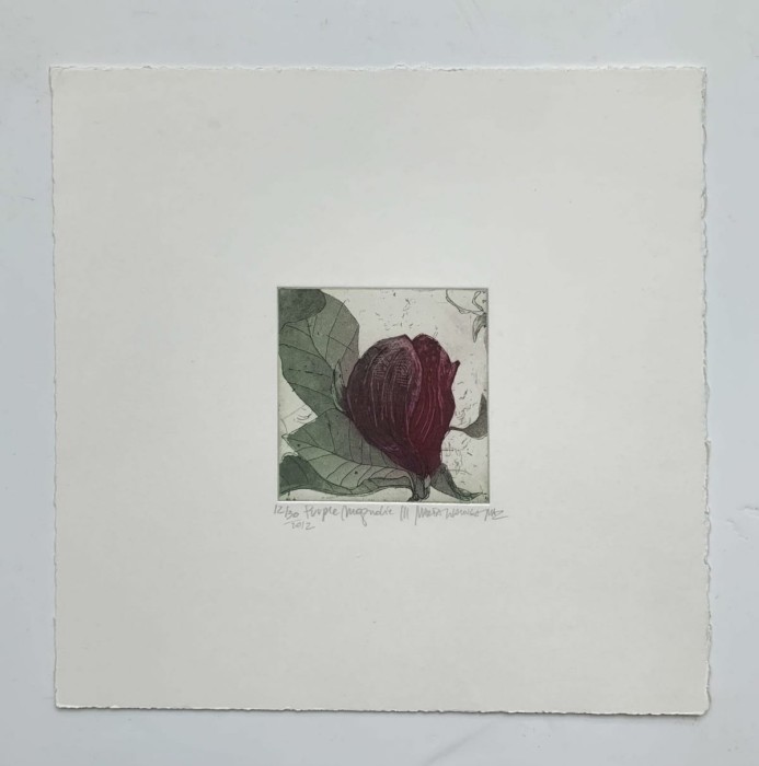 Marta Wakuła-Mac - Purple magnolia III