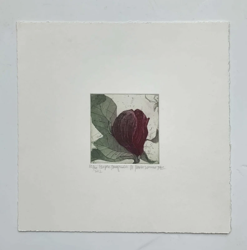 Marta Wakuła-Mac - Purple magnolia III