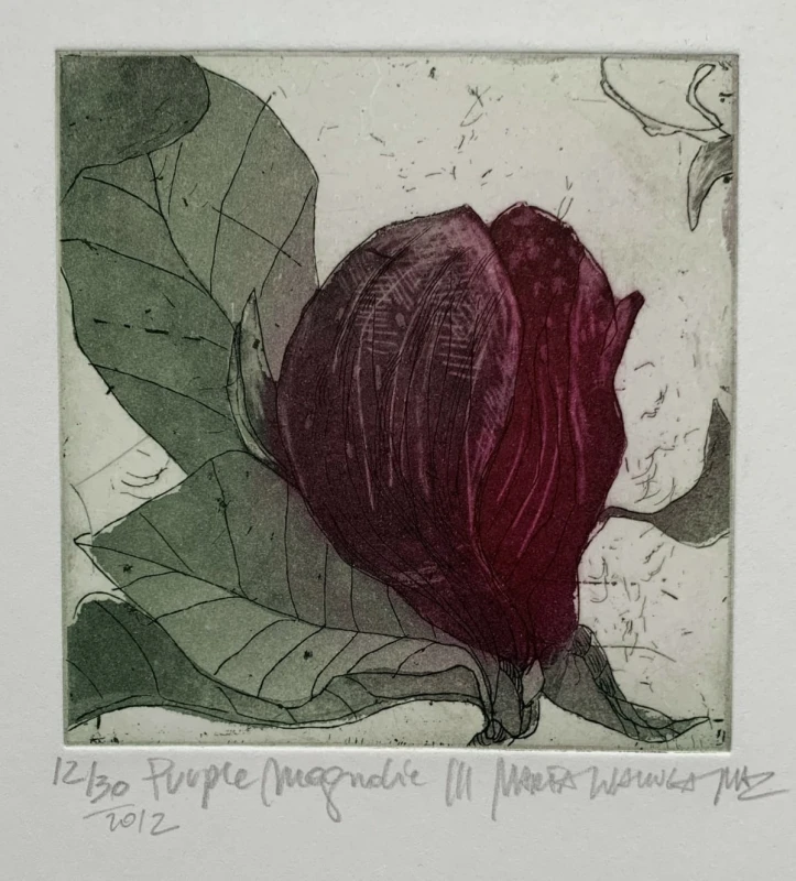 Marta Wakuła-Mac - Purple magnolia III