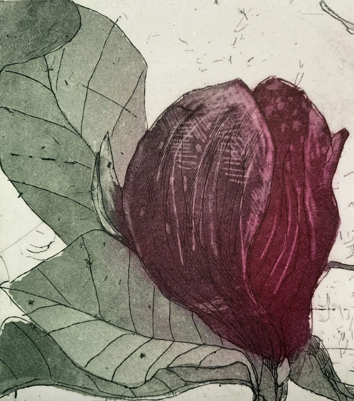 Marta Wakuła-Mac - Purple magnolia III