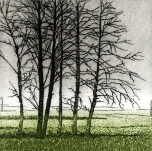 Elżbieta Bocianowska – Olchy