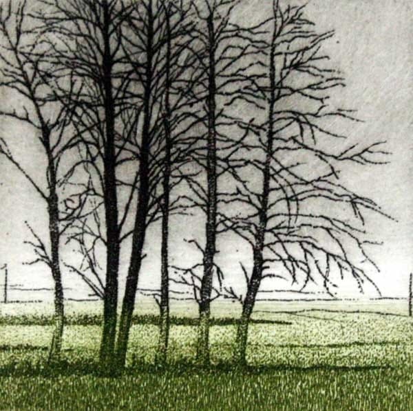 Elżbieta Bocianowska – Olchy
