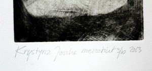 Krystyna Jaszke – Z kameleonem