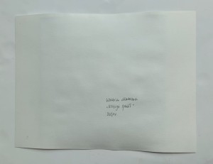 Waleria Matelska - Księżyc spadł