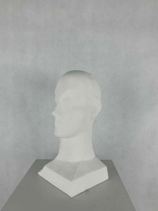 Antoni Janusz Pastwa - Portret II
