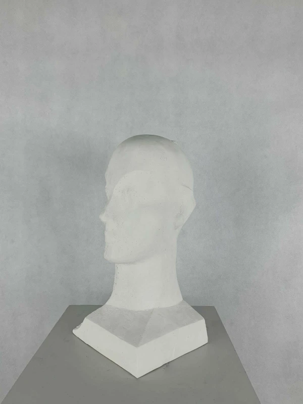 Antoni Janusz Pastwa - Portret II