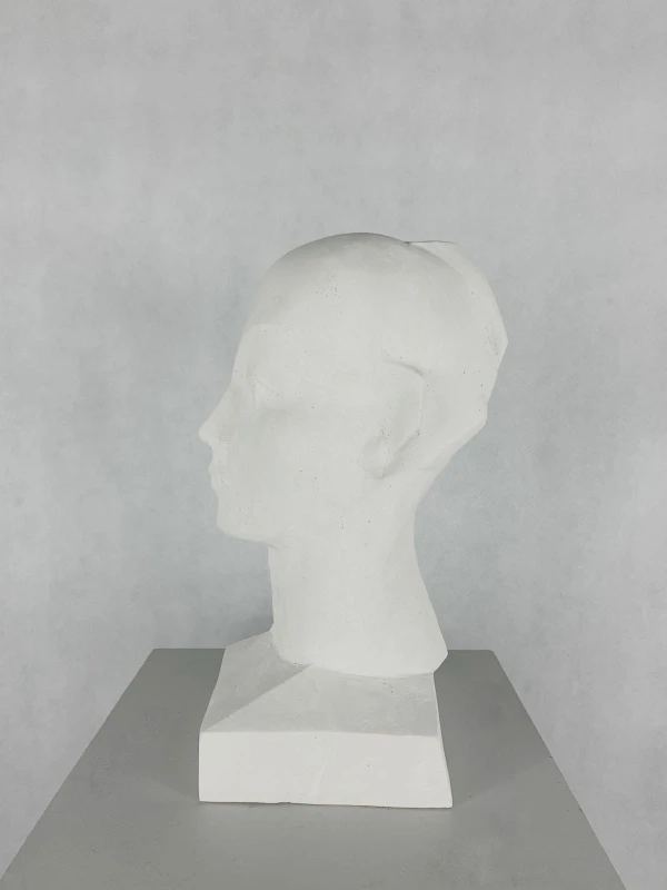 Antoni Janusz Pastwa - Portret II