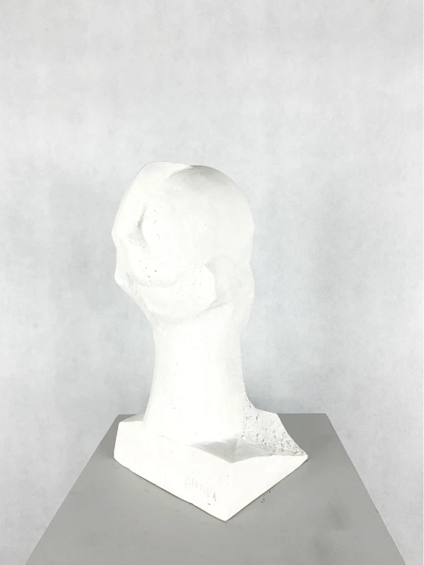 Antoni Janusz Pastwa - Portret II