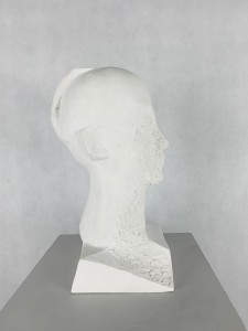 Antoni Janusz Pastwa - Portret II