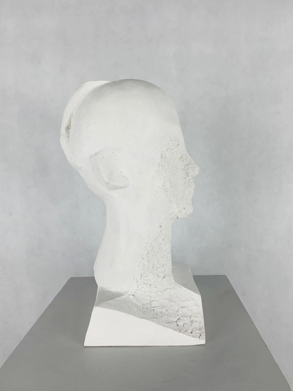 Antoni Janusz Pastwa - Portret II