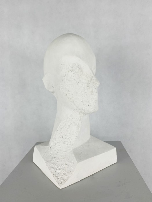 Antoni Janusz Pastwa - Portret II