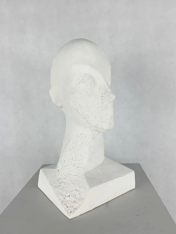 Antoni Janusz Pastwa - Portret II