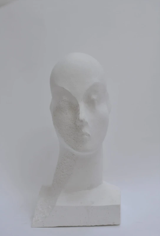 Antoni Janusz Pastwa - Portret II