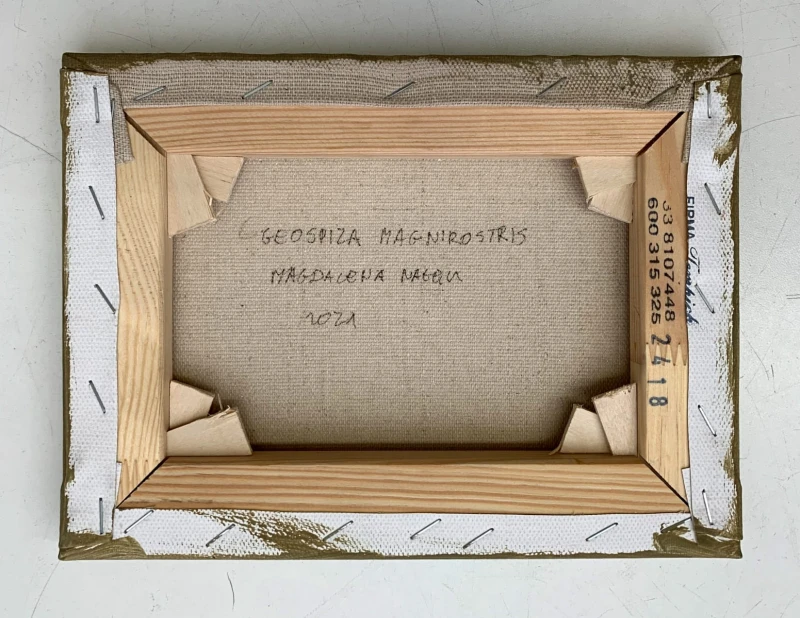 Magdalena Nałęcz - Geospiza Magnirostris