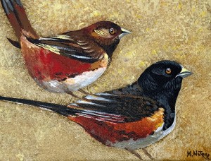 Magdalena Nałęcz - Geospiza Magnirostris