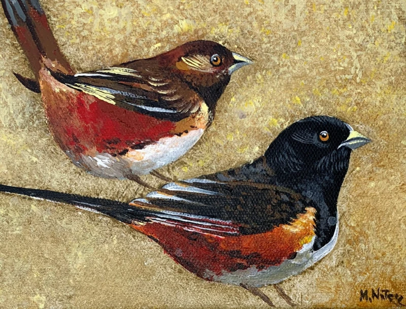 Magdalena Nałęcz - Geospiza Magnirostris