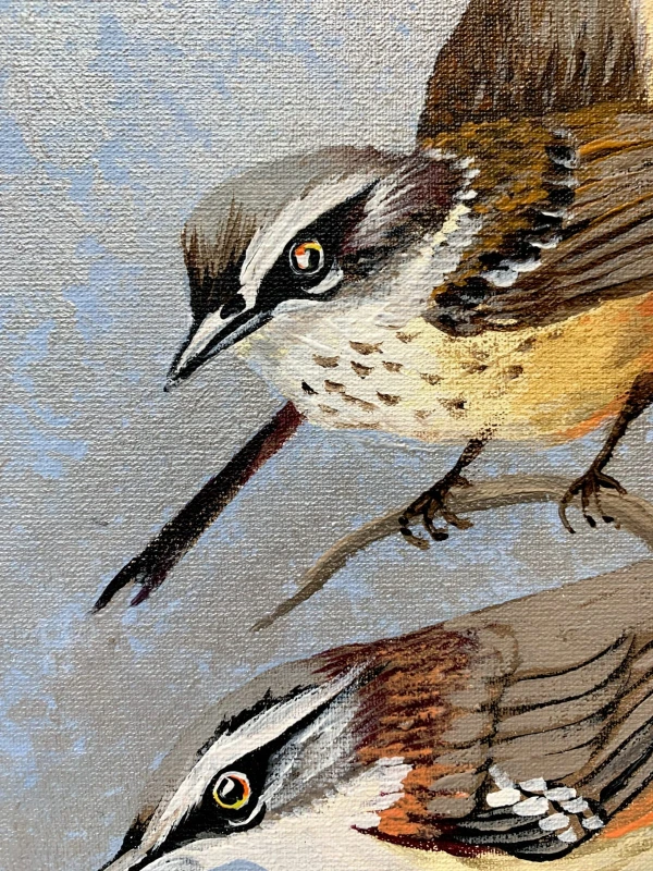 Magdalena Nałęcz - Sernikornis Frontacis
