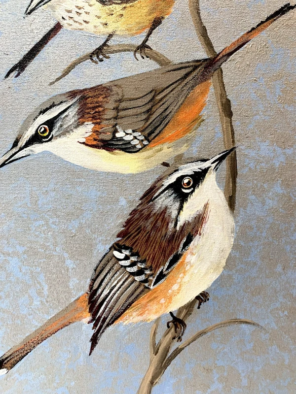 Magdalena Nałęcz - Sernikornis Frontacis