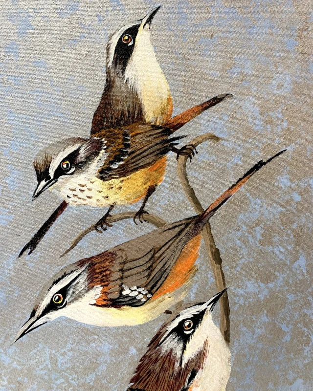 Magdalena Nałęcz - Sernikornis Frontacis