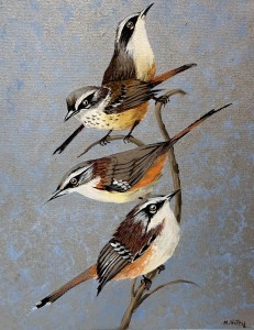 Magdalena Nałęcz - Sernikornis Frontacis