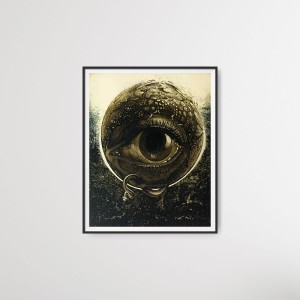 Barbara Rosiak – Oko