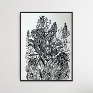 Marta Bożyk - Protea